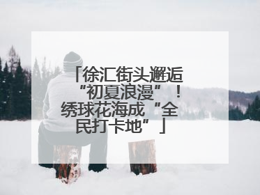 徐汇街头邂逅“初夏浪漫”！绣球花海成“全民打卡地”