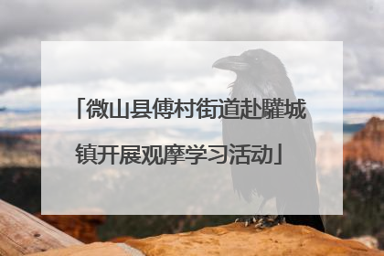 微山县傅村街道赴驩城镇开展观摩学习活动