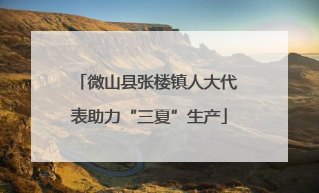 微山县张楼镇人大代表助力“三夏”生产