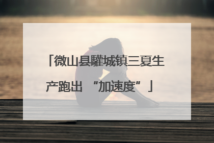 微山县驩城镇三夏生产跑出 “加速度”