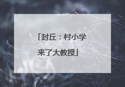 封丘：村小学来了大教授