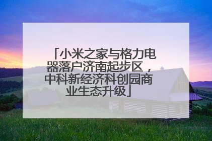 小米之家与格力电器落户济南起步区，中科新经济科创园商业生态升级