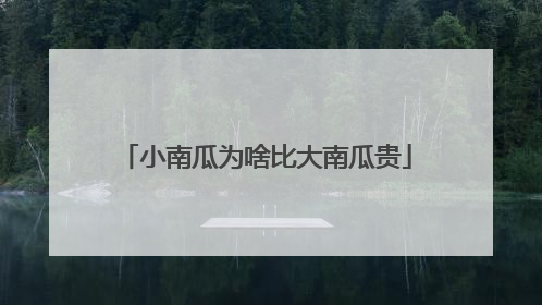 小南瓜为啥比大南瓜贵