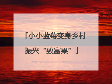小小蓝莓变身乡村振兴“致富果”