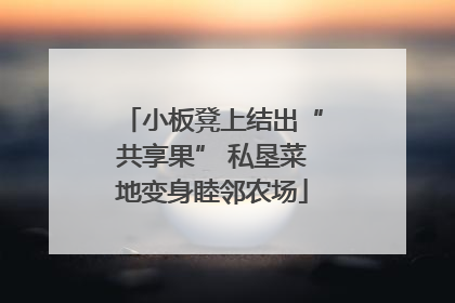 小板凳上结出“共享果” 私垦菜地变身睦邻农场