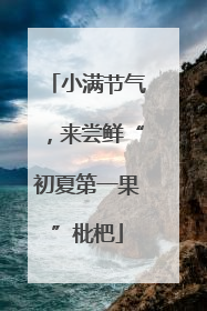 小满节气，来尝鲜“初夏第一果”枇杷