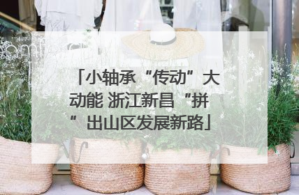 小轴承“传动”大动能 浙江新昌“拼”出山区发展新路
