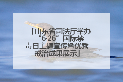 山东省司法厅举办“6·26”国际禁毒日主题宣传暨优秀戒治成果展示