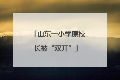山东一小学原校长被“双开”