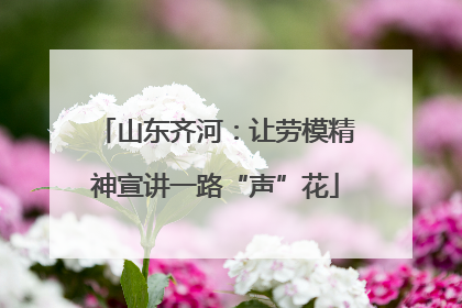 山东齐河：让劳模精神宣讲一路“声”花