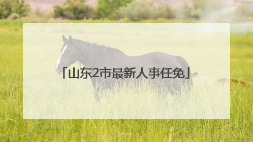 山东2市最新人事任免