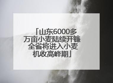 山东6000多万亩小麦陆续开镰 全省将进入小麦机收高峰期