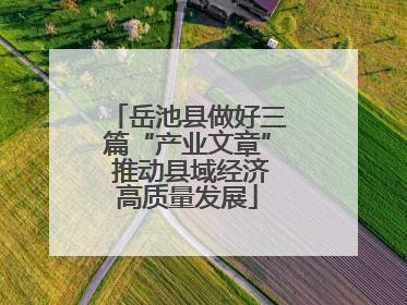 岳池县做好三篇“产业文章” 推动县域经济高质量发展