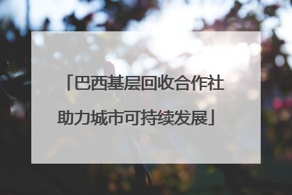 巴西基层回收合作社助力城市可持续发展
