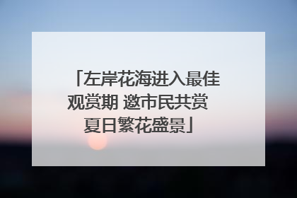 左岸花海进入最佳观赏期 邀市民共赏夏日繁花盛景
