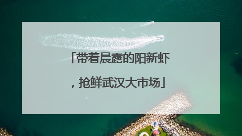 带着晨露的阳新虾，抢鲜武汉大市场