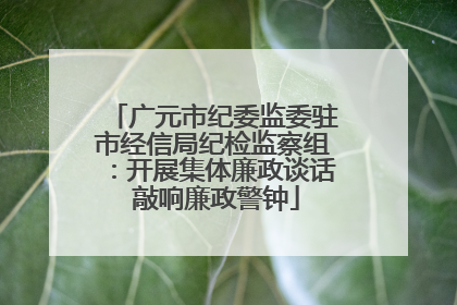 广元市纪委监委驻市经信局纪检监察组：开展集体廉政谈话 敲响廉政警钟