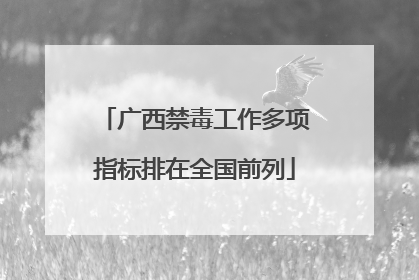 广西禁毒工作多项指标排在全国前列