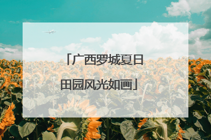 广西罗城夏日田园风光如画