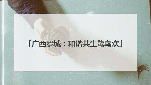 广西罗城：和谐共生鹭鸟欢
