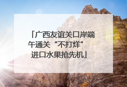 广西友谊关口岸端午通关“不打烊” 进口水果抢先机