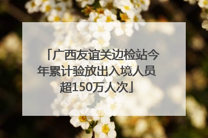 广西友谊关边检站今年累计验放出入境人员超150万人次