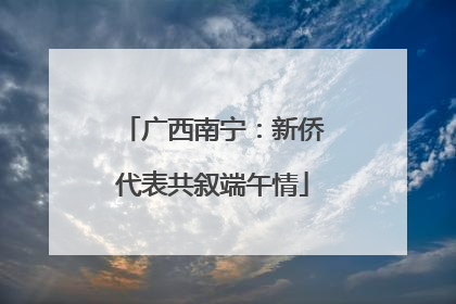 广西南宁：新侨代表共叙端午情