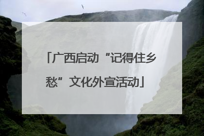 广西启动“记得住乡愁”文化外宣活动