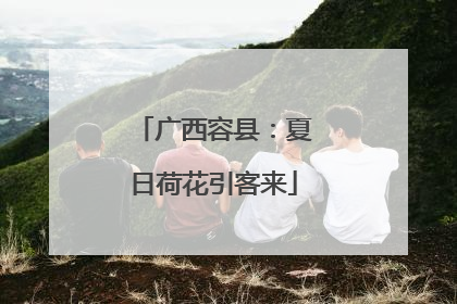广西容县：夏日荷花引客来