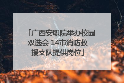 广西安职院举办校园双选会 14市消防救援支队提供岗位