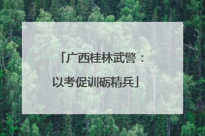 广西桂林武警：以考促训砺精兵