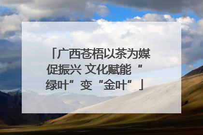 广西苍梧以茶为媒促振兴 文化赋能“绿叶”变“金叶”