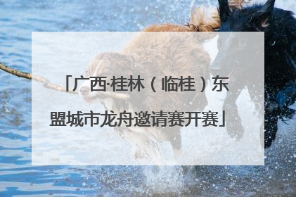 广西·桂林（临桂）东盟城市龙舟邀请赛开赛