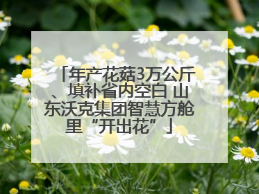 年产花菇3万公斤、填补省内空白 山东沃克集团智慧方舱里“开出花”
