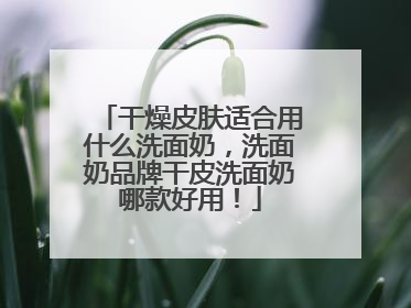 干燥皮肤适合用什么洗面奶，洗面奶品牌干皮洗面奶哪款好用！