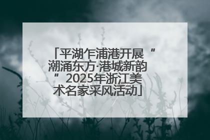 平湖乍浦港开展“潮涌东方·港城新韵”2025年浙江美术名家采风活动