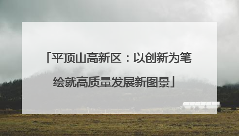平顶山高新区：以创新为笔 绘就高质量发展新图景