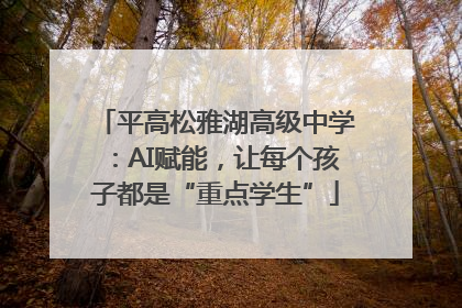 平高松雅湖高级中学：AI赋能，让每个孩子都是“重点学生”