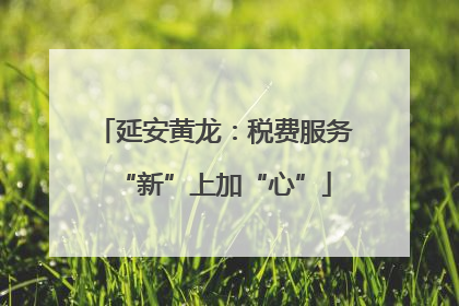 延安黄龙：税费服务“新”上加“心”