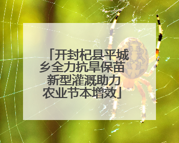 开封杞县平城乡全力抗旱保苗 新型灌溉助力农业节本增效