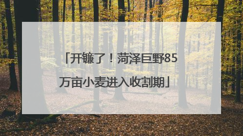 开镰了！菏泽巨野85万亩小麦进入收割期