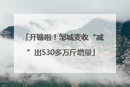 开镰啦！邹城麦收“减”出530多万斤增量