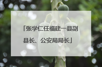 张学仁任福建一县副县长、公安局局长