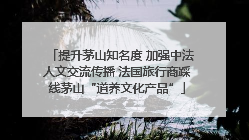 提升茅山知名度 加强中法人文交流传播 法国旅行商踩线茅山“道养文化产品”