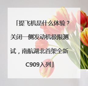 提飞机是什么体验？关闭一侧发动机极限测试，南航湖北首架全新C909入列