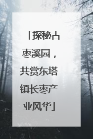 探秘古枣溪园，共赏东塔镇长枣产业风华