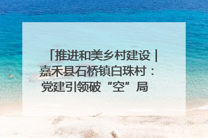 推进和美乡村建设｜嘉禾县石桥镇白珠村：党建引领破“空”局 乡贤聚力绘就新图景
