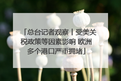总台记者观察丨受美关税政策等因素影响 欧洲多个港口严重拥堵