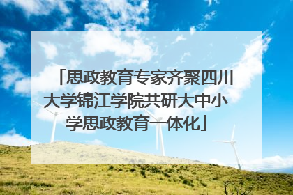 思政教育专家齐聚四川大学锦江学院共研大中小学思政教育一体化