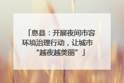 息县：开展夜间市容环境治理行动，让城市 “越夜越美丽”
